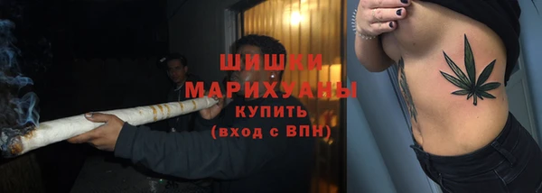 тгк Краснослободск
