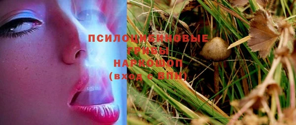 бутират Козловка