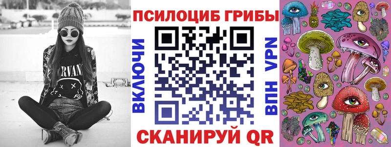 Галлюциногенные грибы Cubensis blacksprut зеркало Кохма где продают наркотики