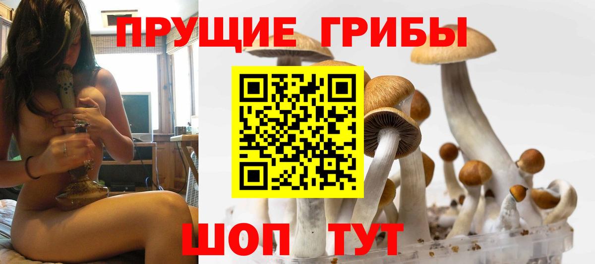 Галлюциногенные грибы Magic Shrooms Кохма