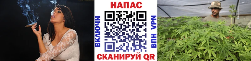 Каннабис OG Kush  продажа наркотиков  Кохма 